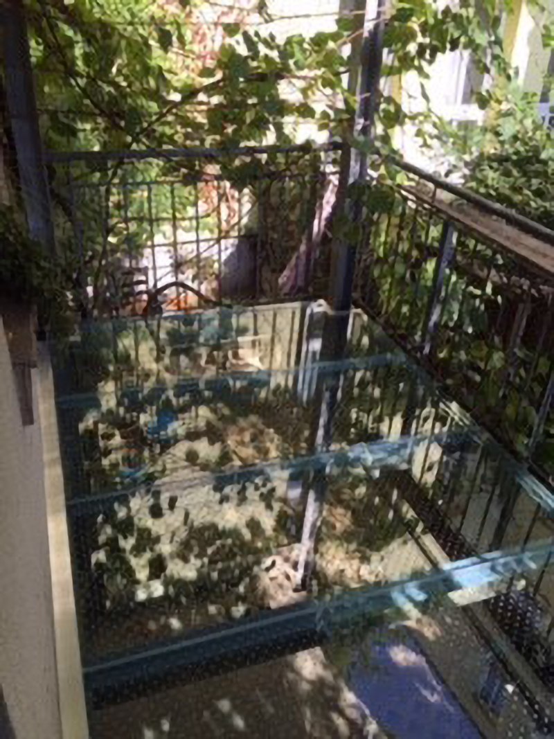 Begehbarer Glasbalkon